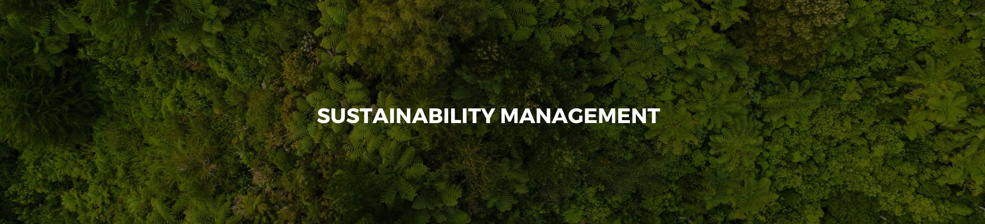 Sustainability Management