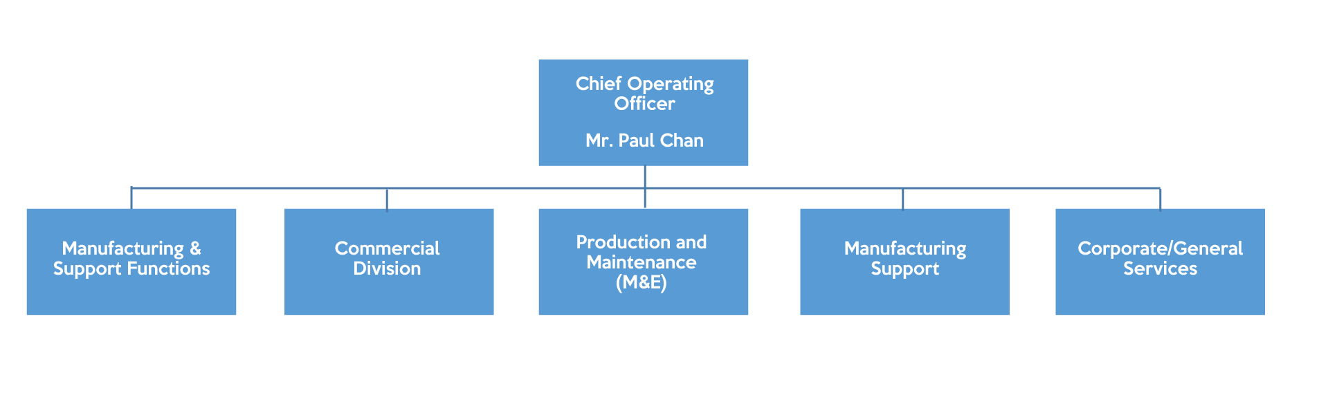 Corporate Structures