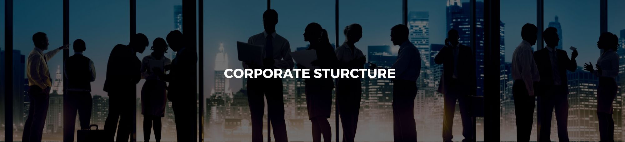 Corporate Structures